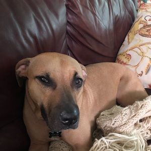 Meet your Posher, Ethan